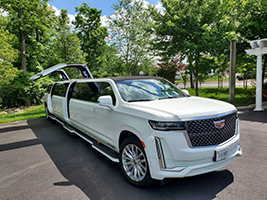 Stretch Cadillac ESV with Dual Gull-Wing (JET) Doors and VIP Lounge